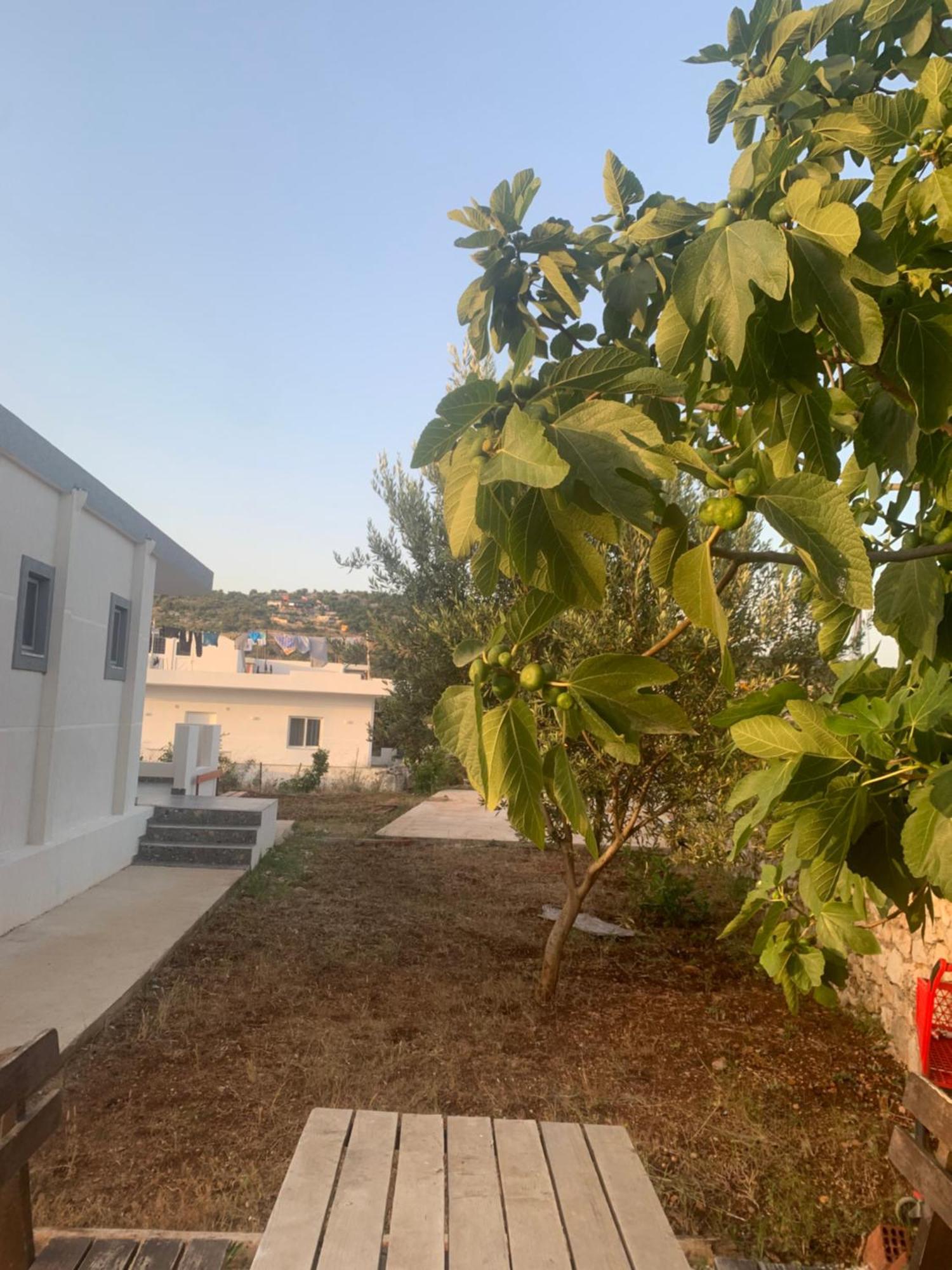 Mario Studios Ksamil Buitenkant foto